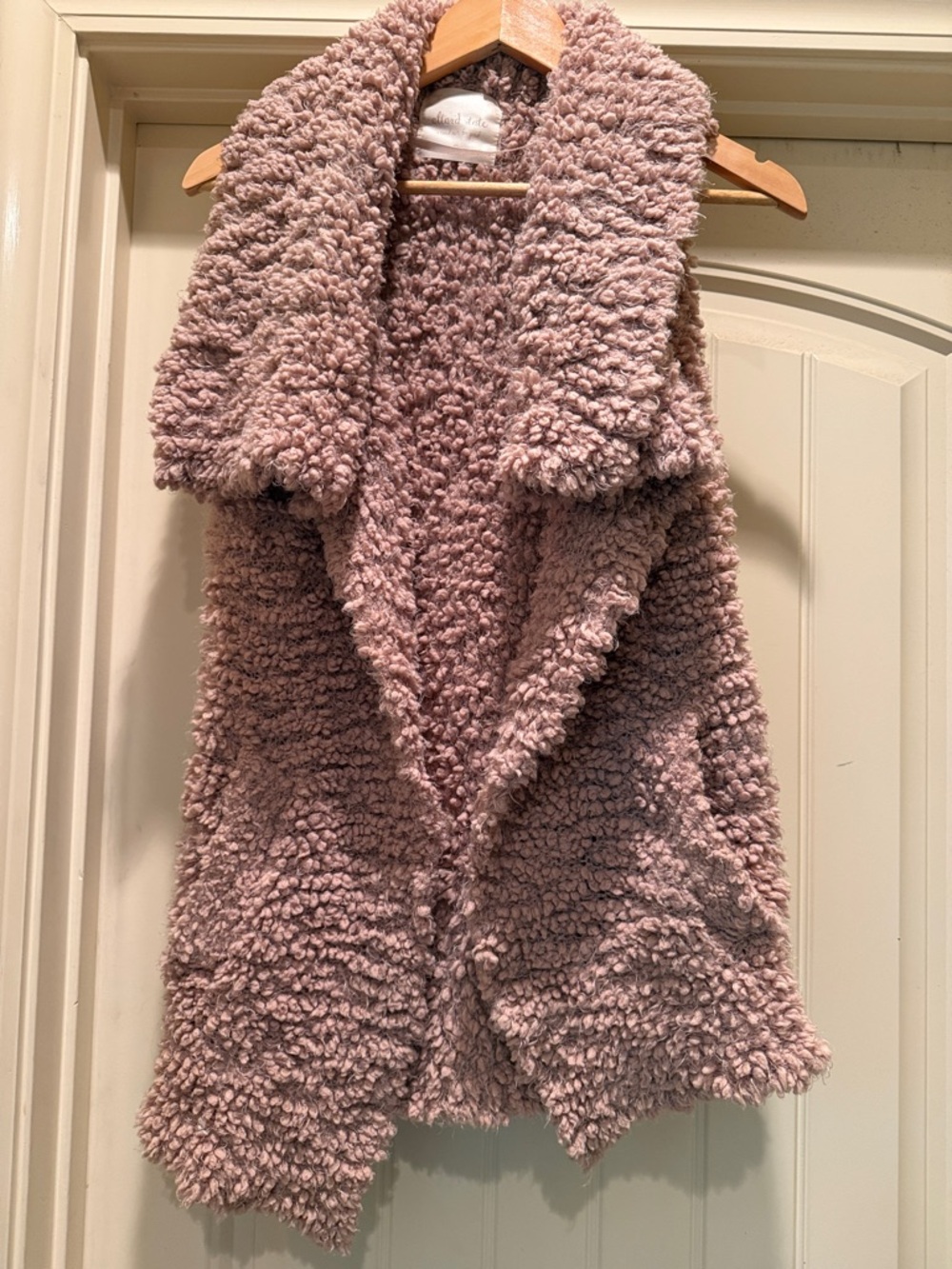Altar'd State Plush Bouclé Vest - Dusty Mauve